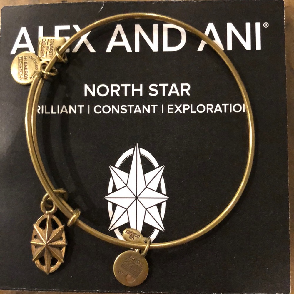 Alex and Ani North Star bangle